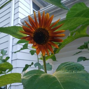 Meet your Posher, Theresa